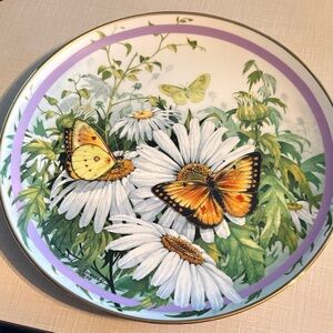 Orange, Sulphur. Butterfly and Daisy Decorative Plate. Plate 0634.